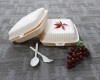 Biodegradable Takeaway Food Container/Disposable Dinner Set