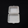 9 Inch Disposable Clam Shape Food Packaging Boxes