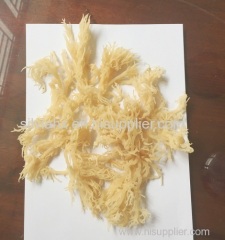 HIGH QUALITY_ COTTONII SEAWEED FOOD