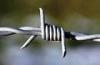 Parking Places Stainless Steel High Tensile Barbed Wire Razor Wire 10BWG x 12BWG