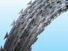 Iron / Stainless Steel Galvanized Barbed Wire Length 10MM - 65MM Neat Appearance