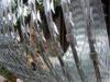 SS Powerful Security Razor Wire Anti Corrosion 450mm - 980mm Outside Diameter