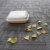 Food Grade Disposable Plastic Salad Boxes/Cheap China Outdoor Biodegradable Food Boxes
