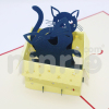 Cat in box 3d pop-up card