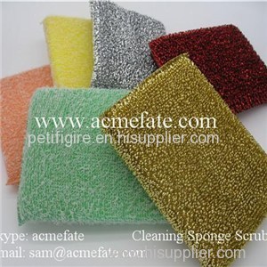 Kitchen Cleaning Sponge Scrubber