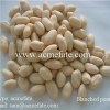 New crop blanched peanut kernels with best price