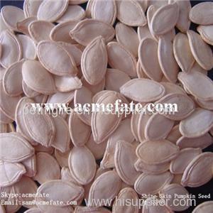 Wholesale raw shin skin pumpkin seeds with best price for sale