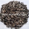 Market price raw sunflower seeds