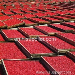 wholesale Dried Organic Goji Berry Wolfberry Medlar