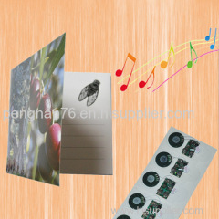 custom sound chip for greeting card