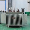 10kV S11 Three-phase Full-sealing Oil-immersed Distribution Transformer