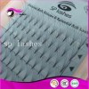 Own Brand Package Premium Volume Lashes Fans 5D Lashes