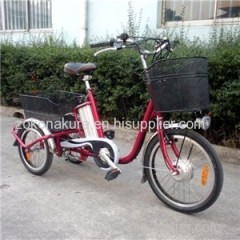 Etb Steel Frame Electric Tricycle Bike 36V10Ah Lithium Battery 250W Hub Motor