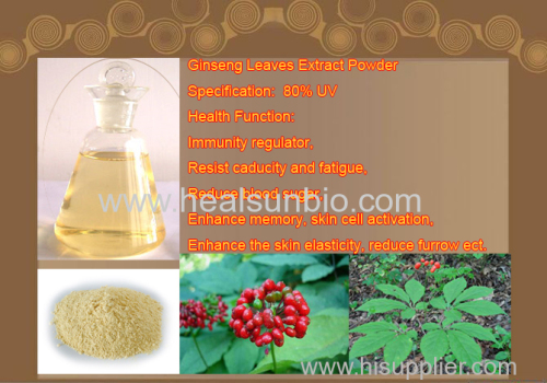 Panax Ginseng Leaves Extract Powder Ginsenoside 80%UV