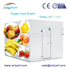 walk in freezer room for fruits and vegetable