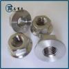 JIS B1190 Titanium Flanged Hex Nuts