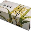 Pumping Paper Boxes Product Product Product