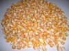 Dry Maize/Dried Yellow Corn/Dried Sweet Corn Best Price Competitive Price