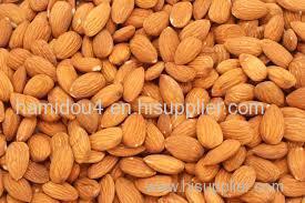 Almond nuts in Almond