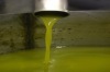 Grade A Refined Olive Oil