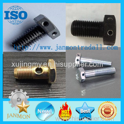 Customized Special Zinc plated Hex Head Bolt With Hole(as drawing) Hexagon head bolt with holes Zinc plated hex bolts