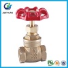 FORGED BRASS GATE VALVE