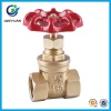 BRASS WATER GATE VALVE