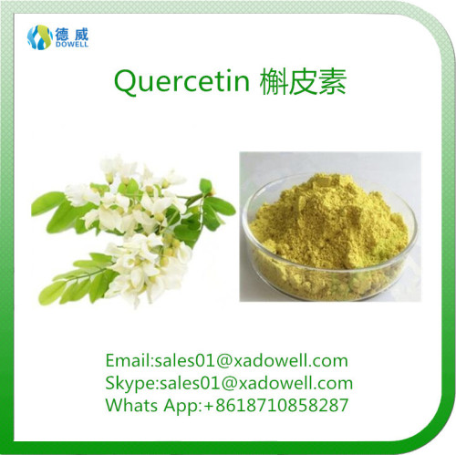 Natural Extract Quercetin HPLC95%/UV98%