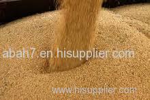 soybean meal in animal feed
