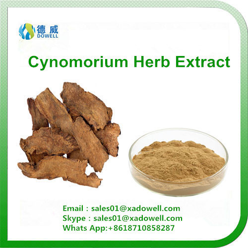 Natural Extract Cynomorium Extract