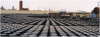 Iran Penetration Bitumen Grade 40/60 for Export