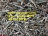 Dried Anchovy Sprat Vietnam High Quality Whole Part 10Kgs Cartion Anchovy
