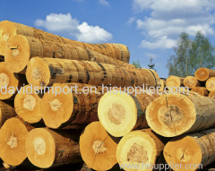 Export import Wood import to shenzhen customs clearance