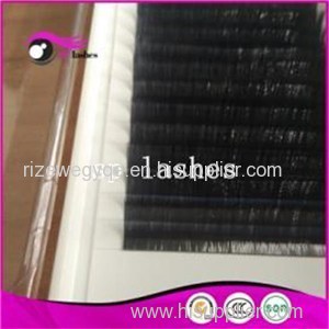 Synthetic Hair Eyelashes 12mm Silk Eyelash Extensions Eyelash Supply