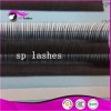 3D Volume Individual Multi Length In 1 Row Eyelash Extensions Russian Camellia