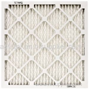 NaturalAire Air filter for cars/trucks