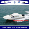 Bestyear Passenger boat 8.8m