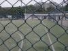 pvc coated galvanized wire chain link fence for baseball fields poles