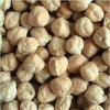 Kabuli / chickpeas Dried 7mm 8mm 9mm 10mm 11mm 12mm