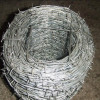 Galvanized Barbed Wire Mesh