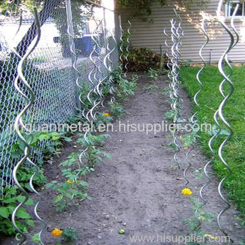 Tomato Spiral Wire/Tomato Stick