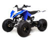 China raptor 125cc 8inch tire