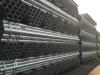 TianJIn Factory 38*38 steel square pipe / TUBES HOLLOW SECTION GALVANZIED / BLACK ANNEALING