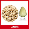 Peanut Shell Extract Luteolin 98%