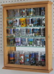 Small Wall Mounted Curio Cabinet Shadow Box Glass Door