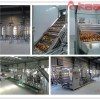 Turnkey Project Fruit And Vegetable Pulp/jam/puree/paste Processing Line