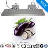 Best quality 2017 induction grow light with 5 years warranty for blood orchid flower