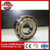 cylindrical roller bearing 31(skp:TJSEMRID)