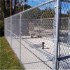 Electro Galvanized Chain Link Wire Mesh