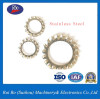 High Quality Stainless Steel External Serrated Lock Washer with ISO